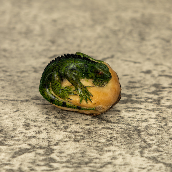 Green Iguana Lizard Tagua Nut Carving
