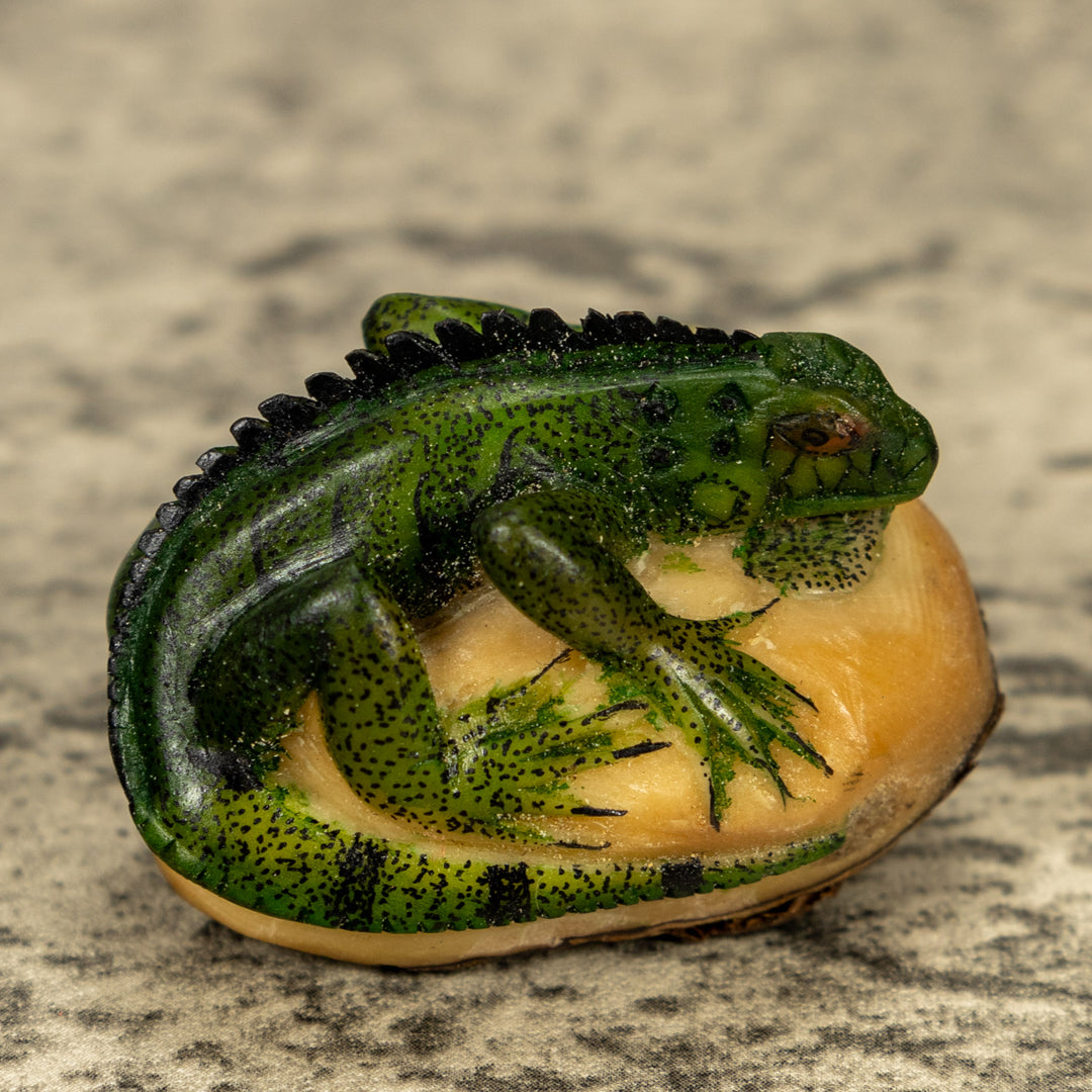 Green Iguana Lizard Tagua Nut Carving