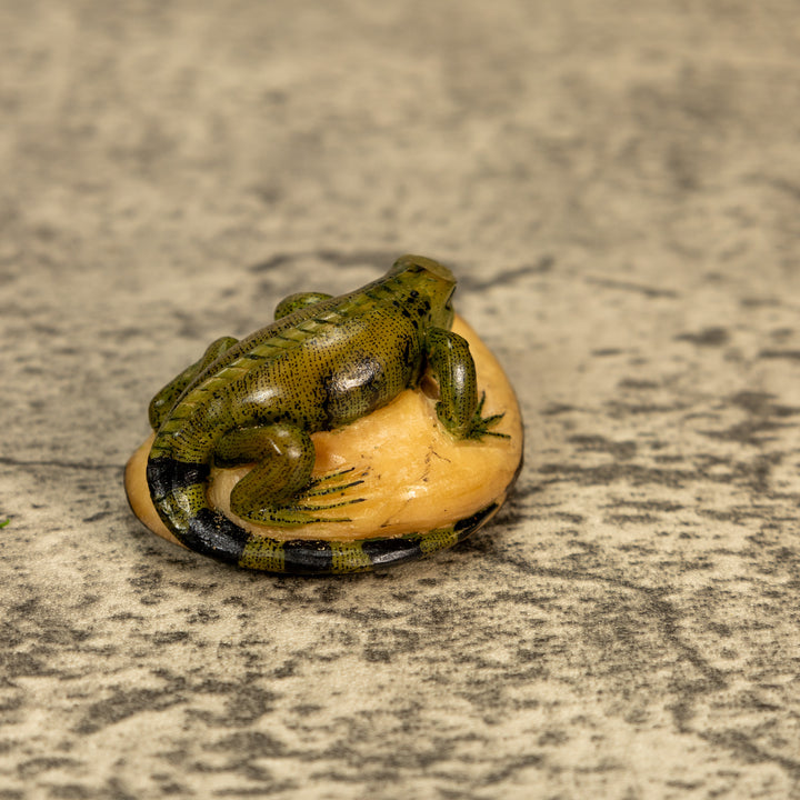 Green Iguana Lizard Tagua Nut Carving