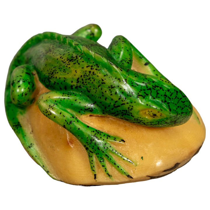 Green Iguana Lizard Tagua Nut Carving