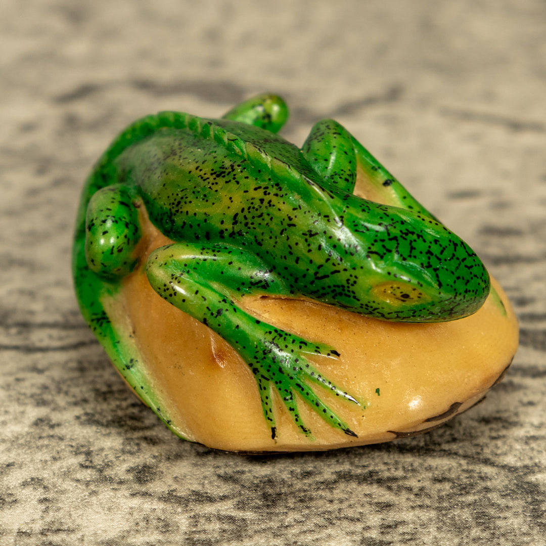 Green Iguana Lizard Tagua Nut Carving