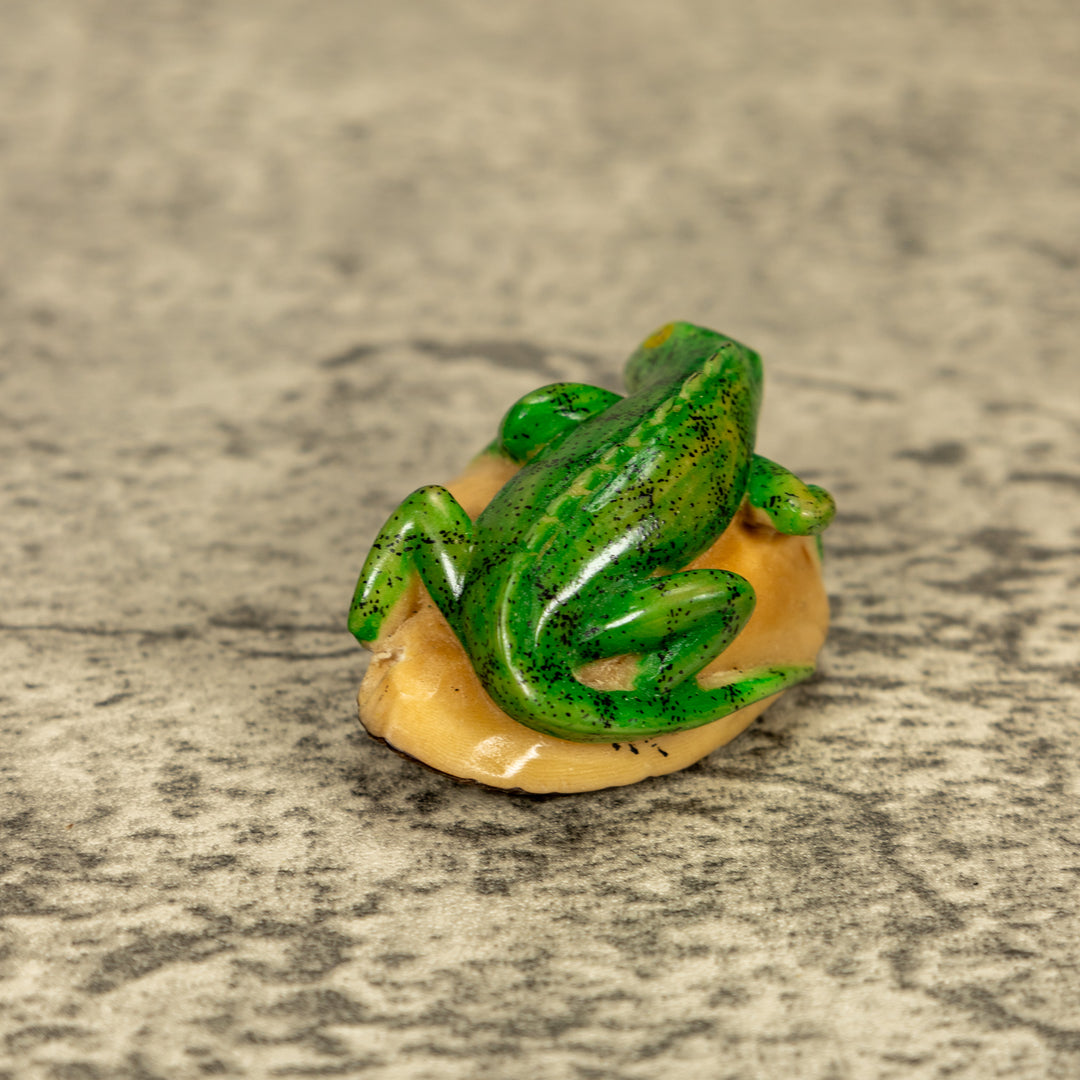 Green Iguana Lizard Tagua Nut Carving