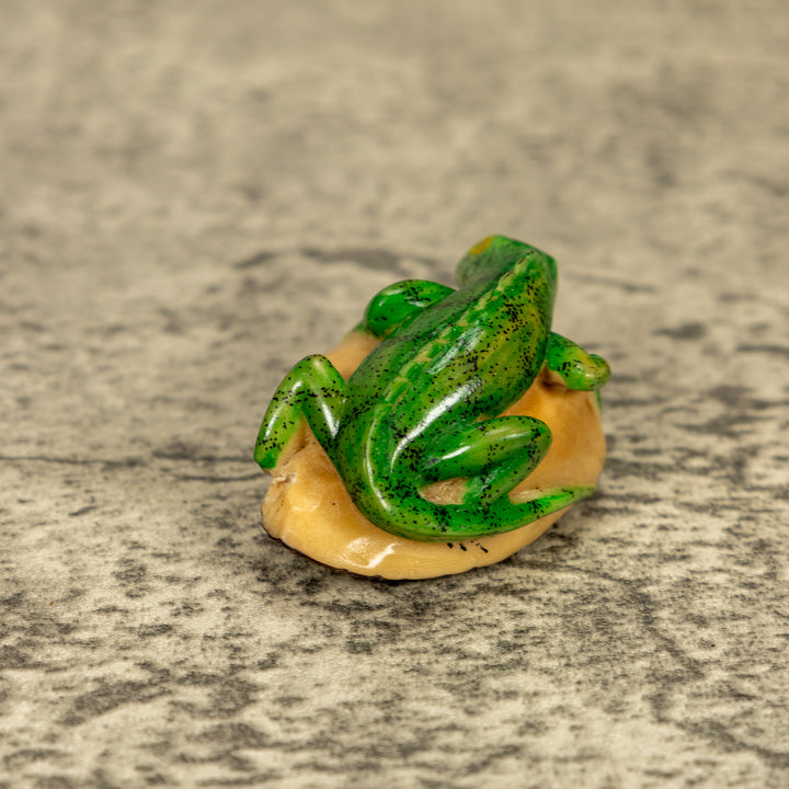 Green Iguana Lizard Tagua Nut Carving