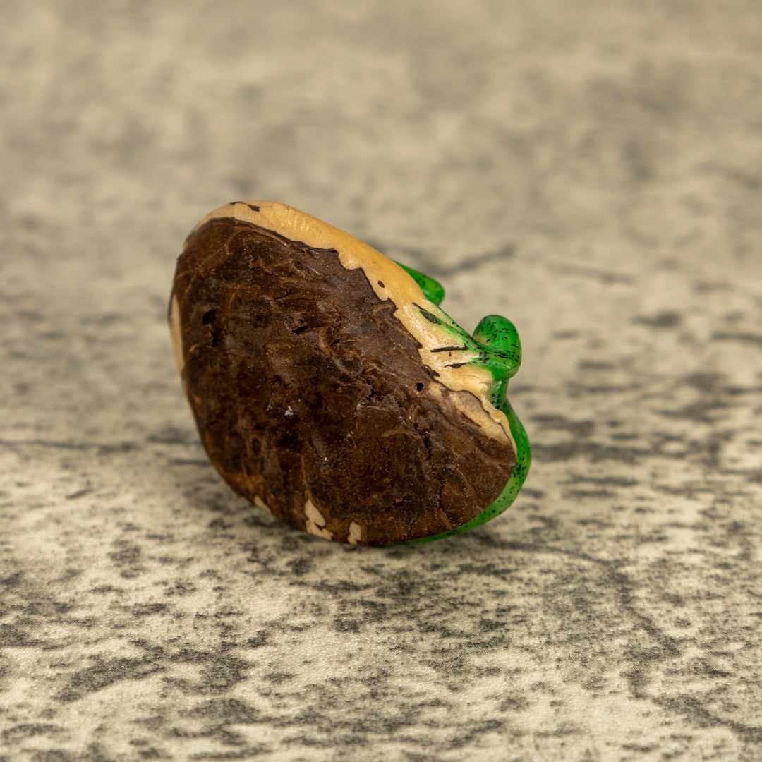 Green Iguana Lizard Tagua Nut Carving