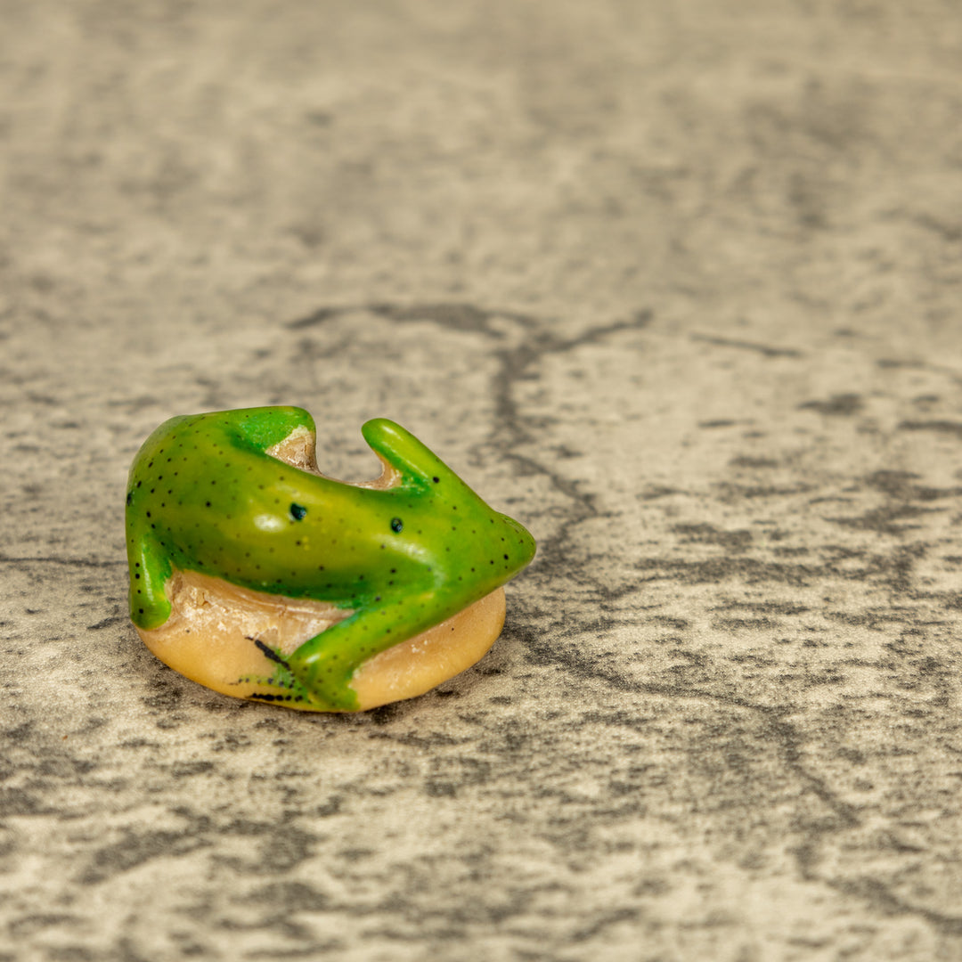 Green Gecko Lizard Tagua Nut Carving