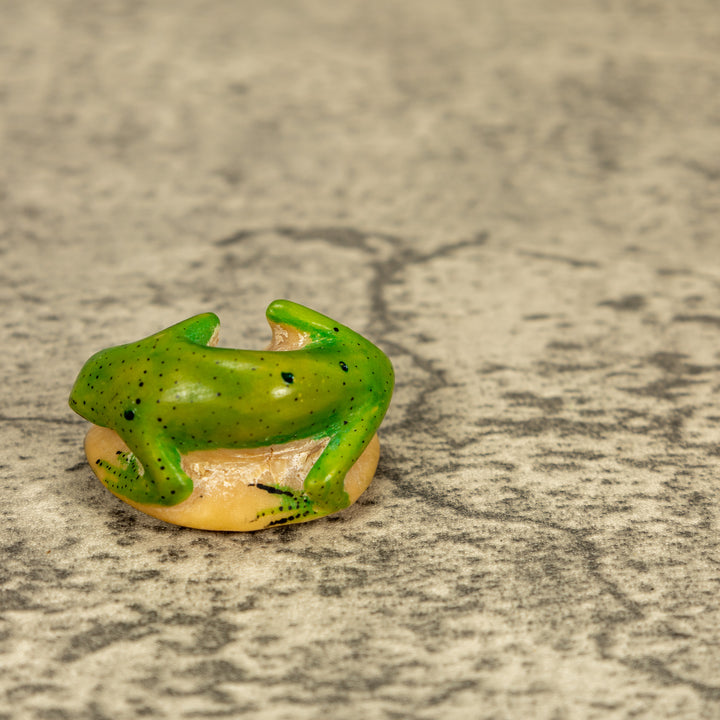 Green Gecko Lizard Tagua Nut Carving