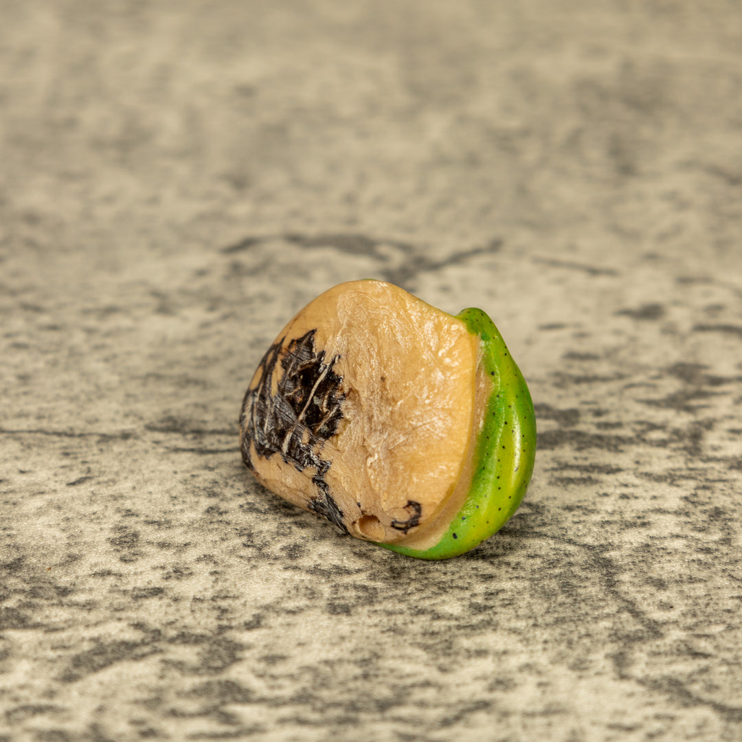 Green Gecko Lizard Tagua Nut Carving