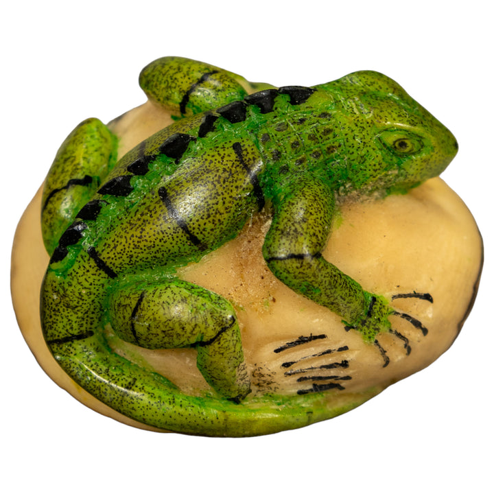 Green Iguana Lizard Tagua Nut Carving