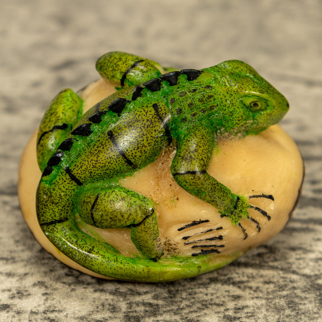 Green Iguana Lizard Tagua Nut Carving