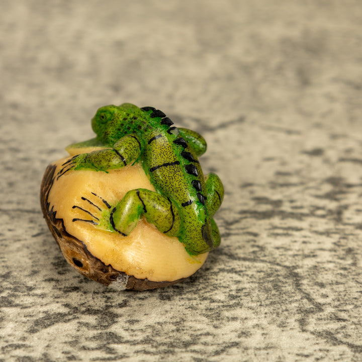 Green Iguana Lizard Tagua Nut Carving