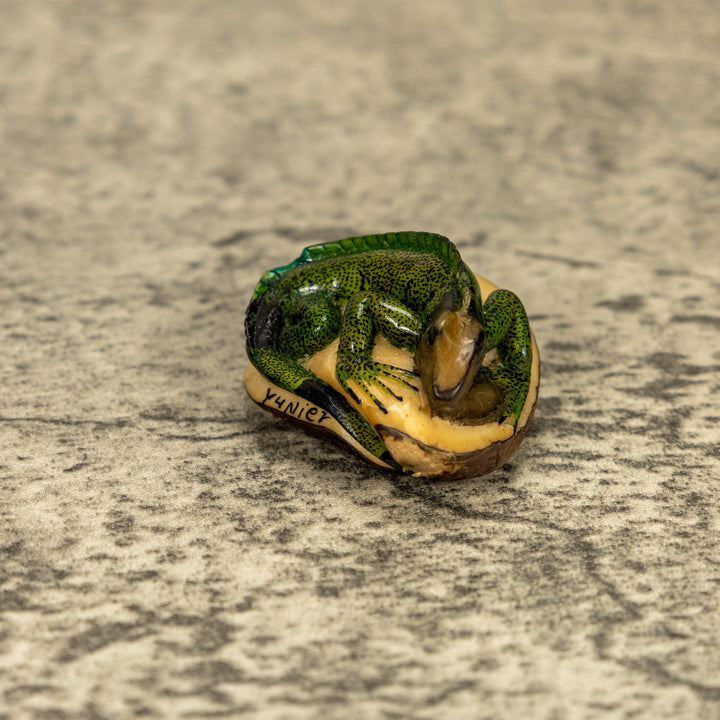 Green Iguana Lizard Tagua Nut Carving