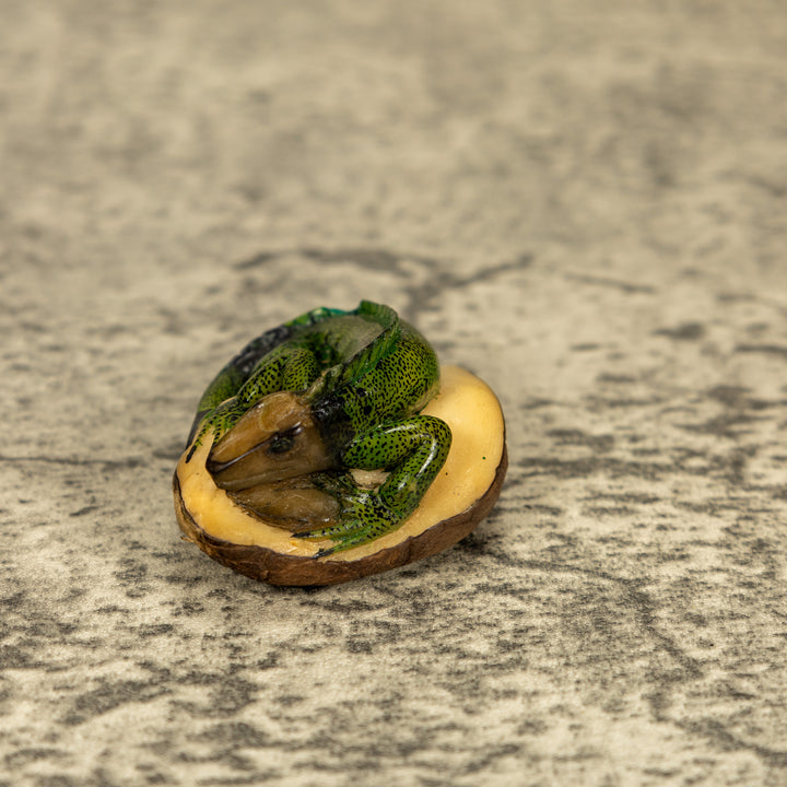 Green Iguana Lizard Tagua Nut Carving