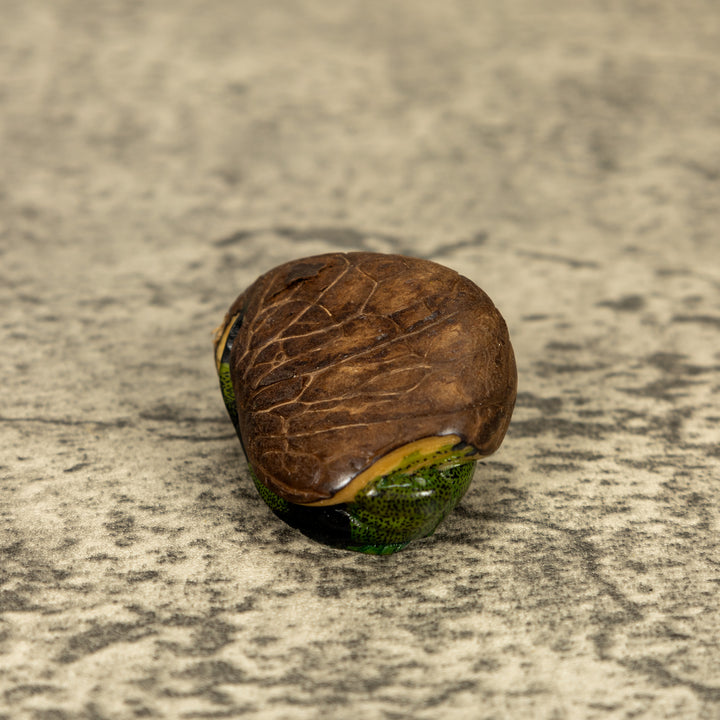 Green Iguana Lizard Tagua Nut Carving