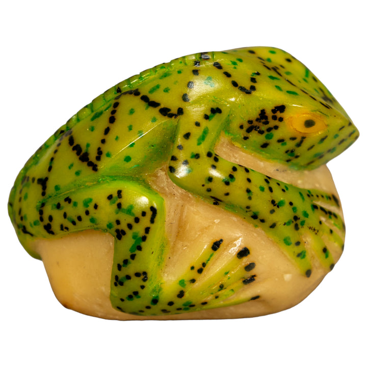 Green Iguana Lizard Tagua Nut Carving