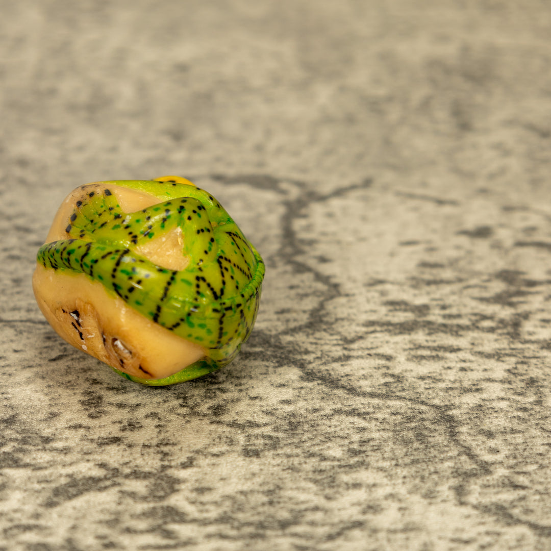 Green Iguana Lizard Tagua Nut Carving