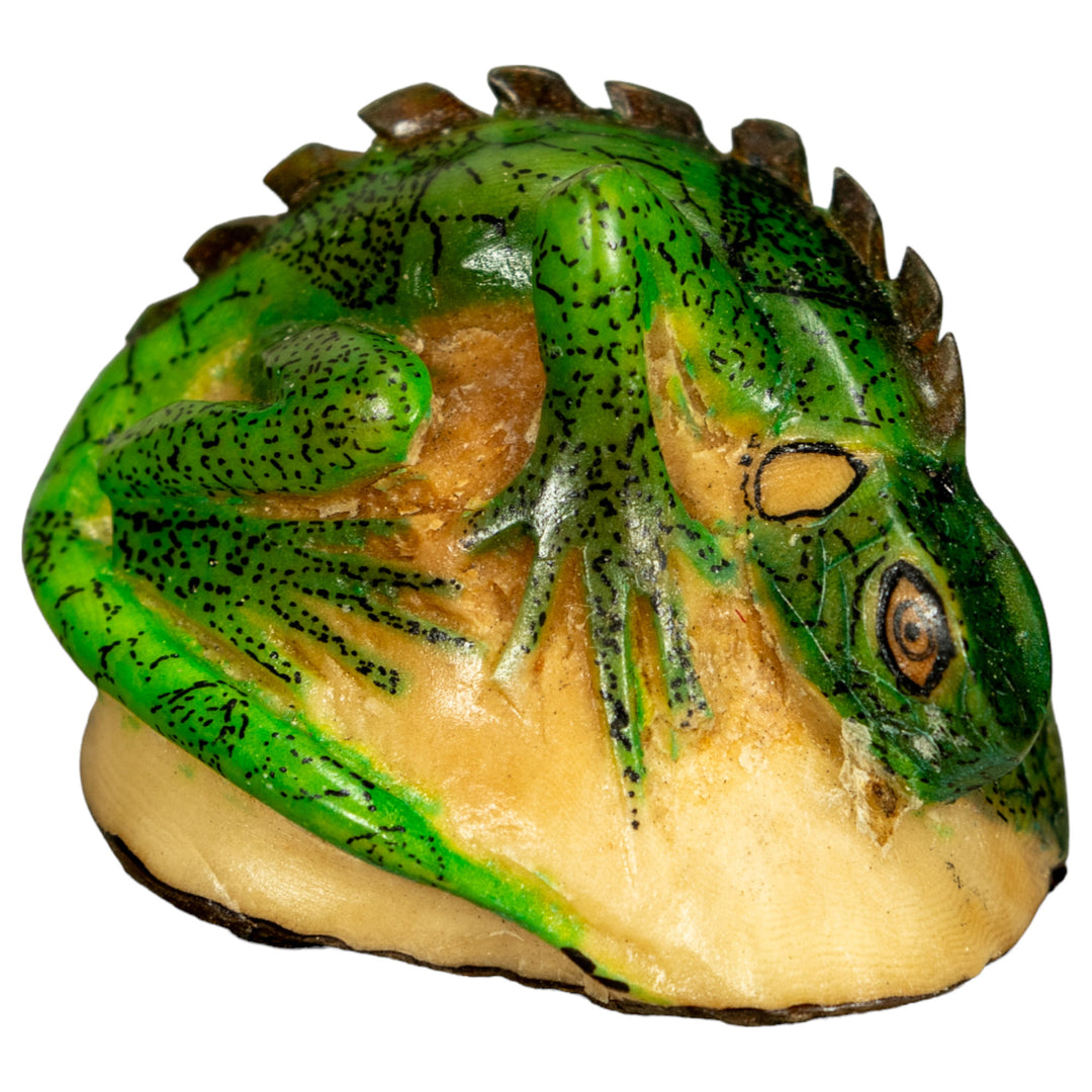 Green Iguana Lizard Tagua Nut Carving