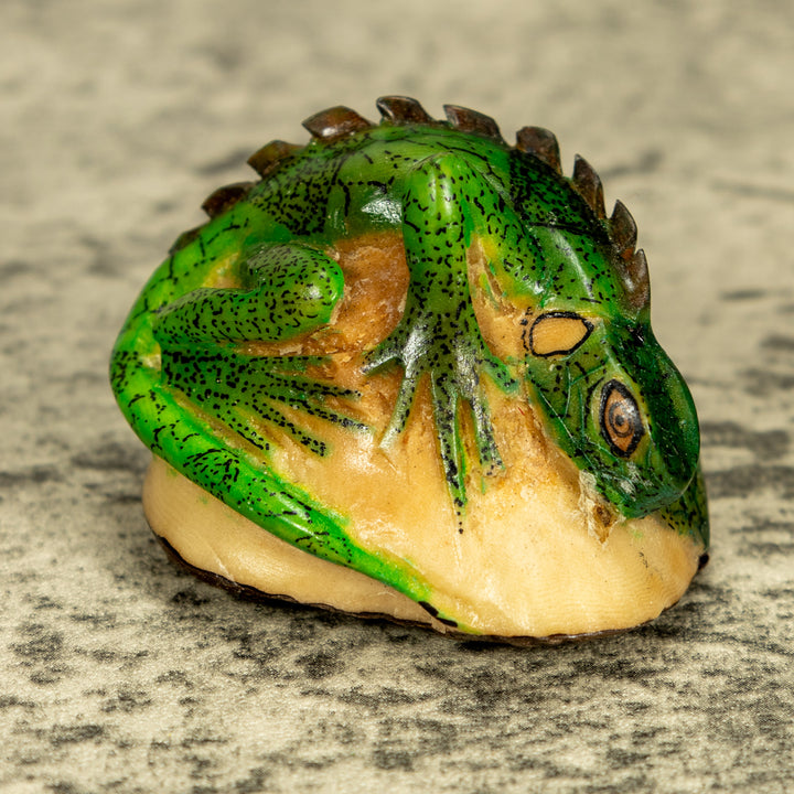 Green Iguana Lizard Tagua Nut Carving