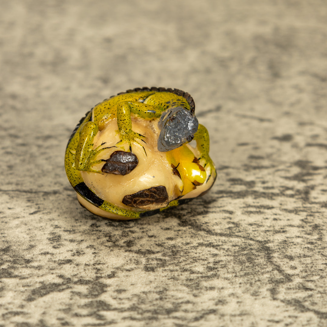 Green Iguana Lizard Tagua Nut Carving
