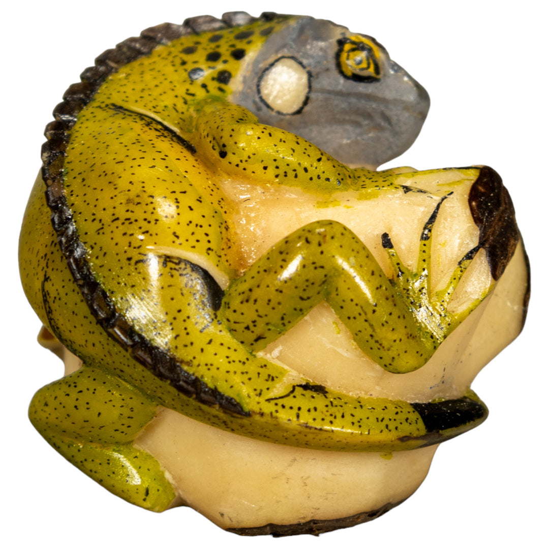 Green Iguana Lizard Tagua Nut Carving