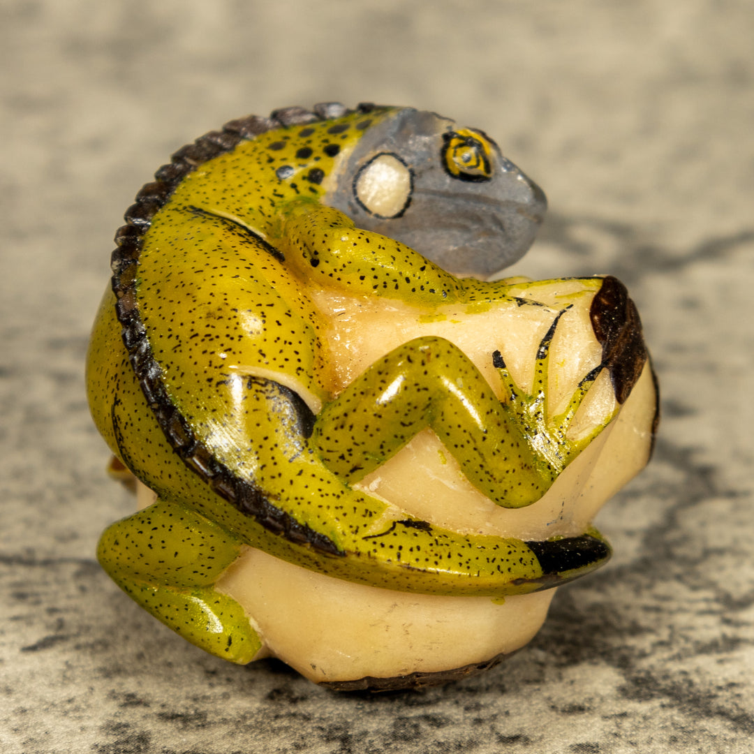 Green Iguana Lizard Tagua Nut Carving