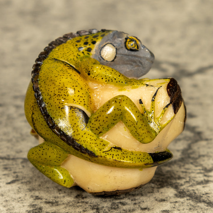 Green Iguana Lizard Tagua Nut Carving