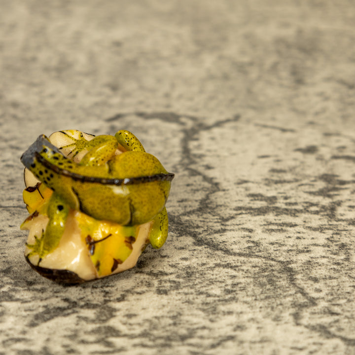 Green Iguana Lizard Tagua Nut Carving