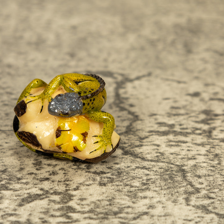 Green Iguana Lizard Tagua Nut Carving