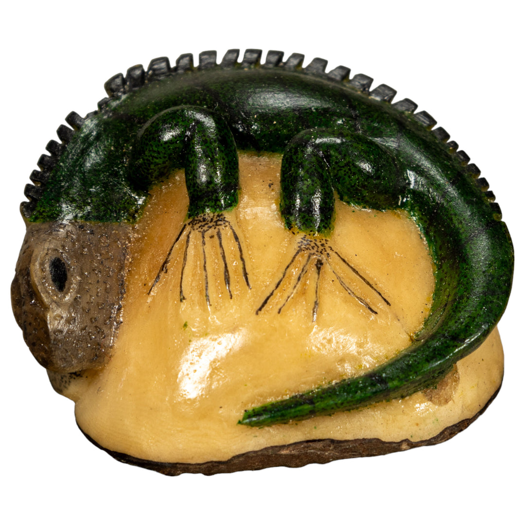 BARGAIN Green Iguana Lizard Tagua Nut Carving