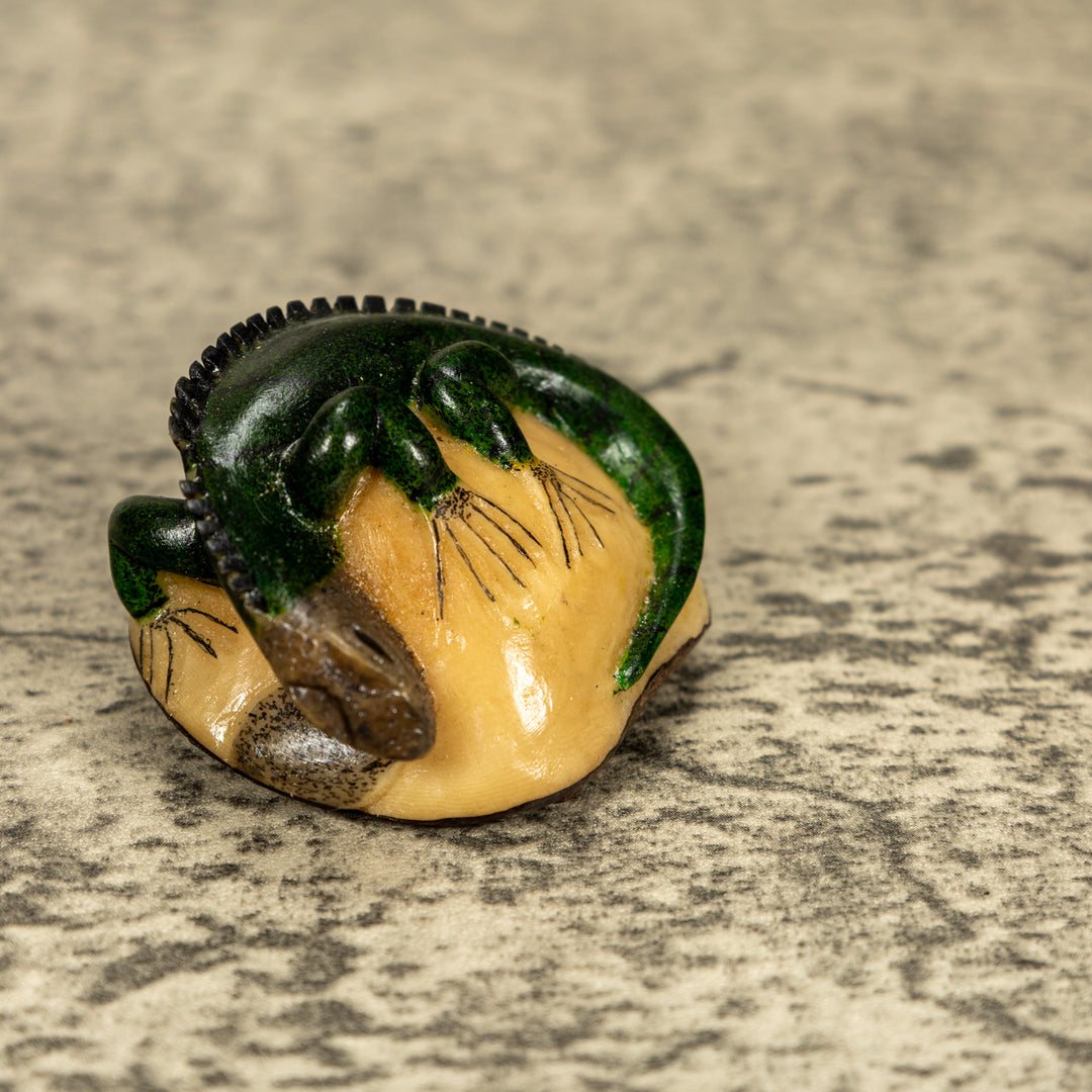 BARGAIN Green Iguana Lizard Tagua Nut Carving