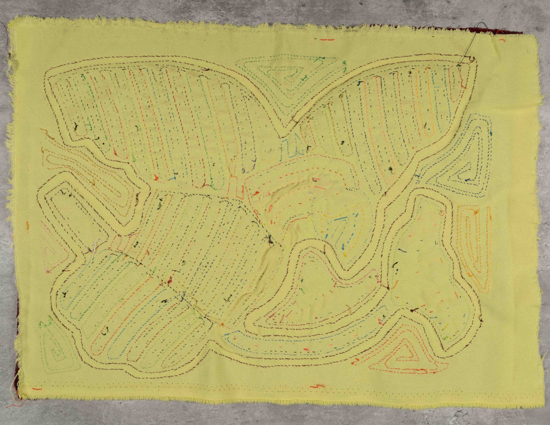 Rainbow Of Color Massive Parrot Bird In Flight Mola