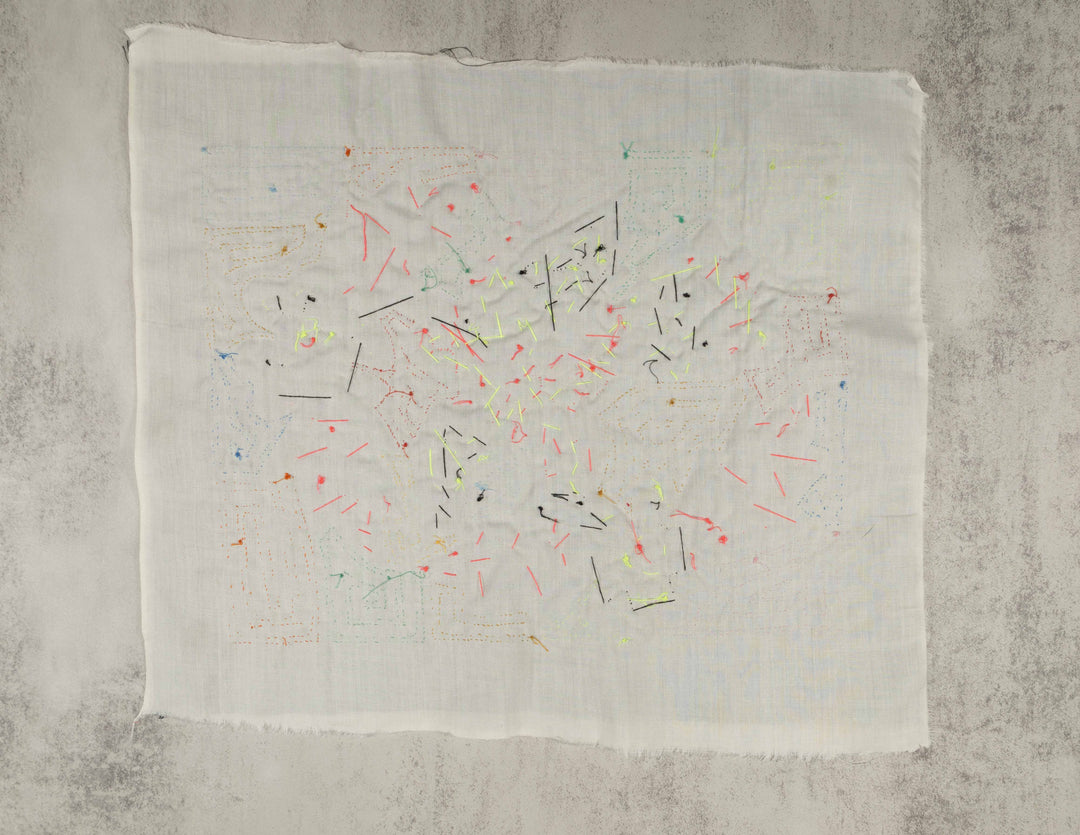 Red Blue And Orange Hurling Parrot Mola