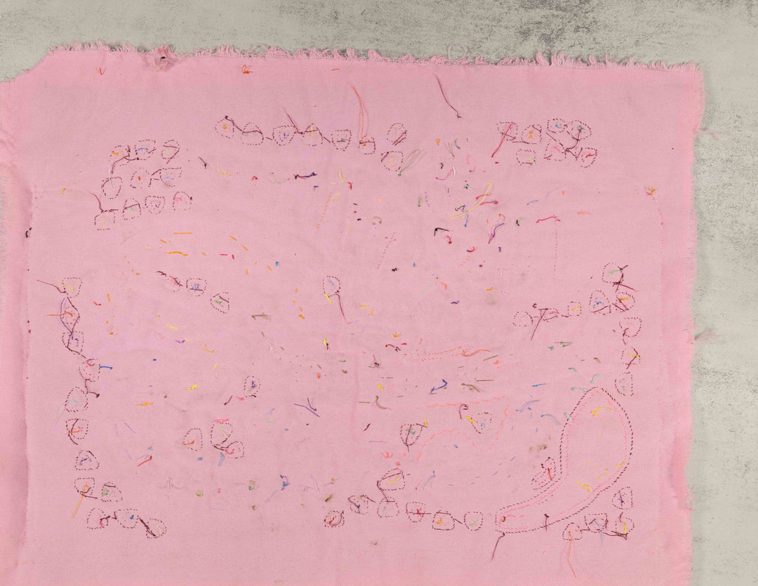 Burgundy Rainbow Parrot Annoucing The Village Mola