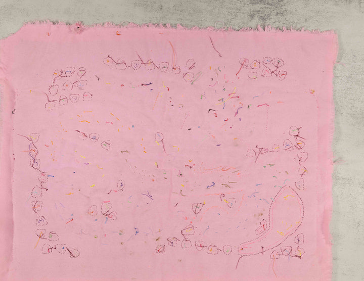 Burgundy Rainbow Parrot Annoucing The Village Mola