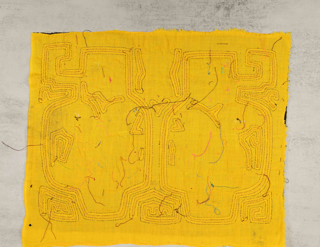 Black And Gold Swan Lake Bird Mola