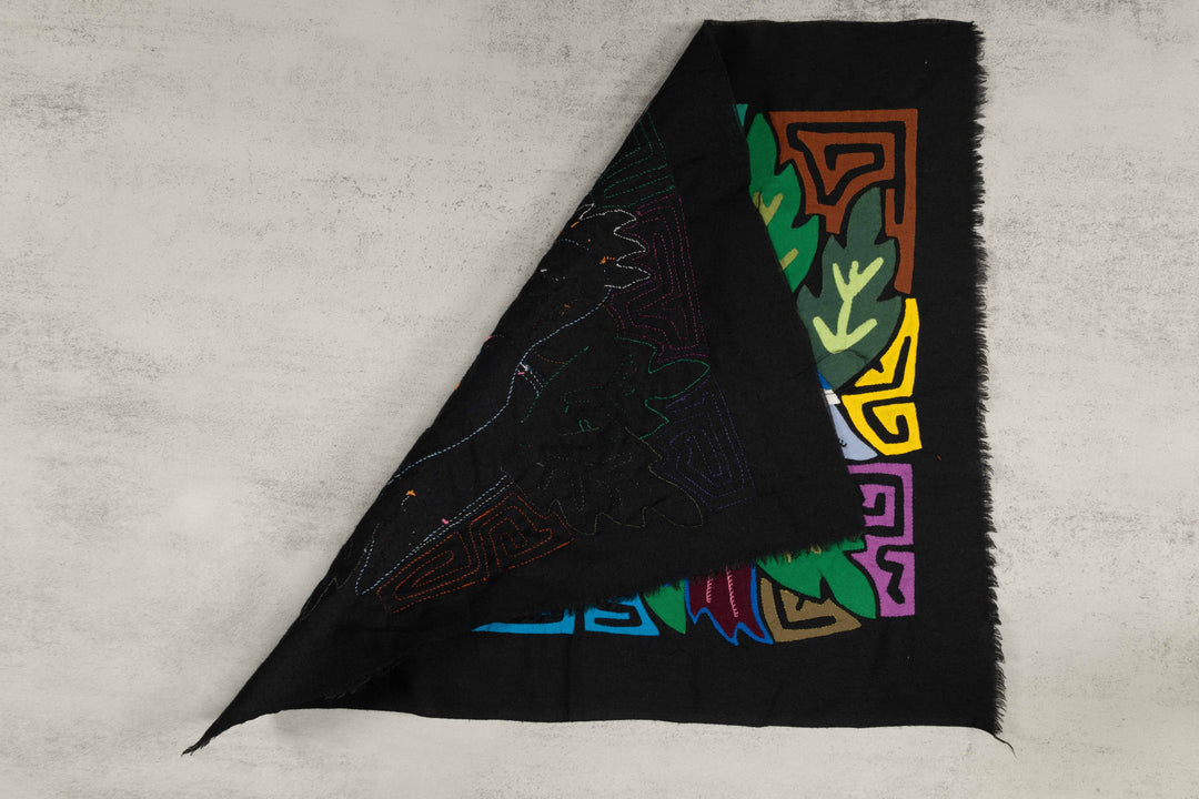 Two Gray Rainforest Cockatoo Parrot Mola