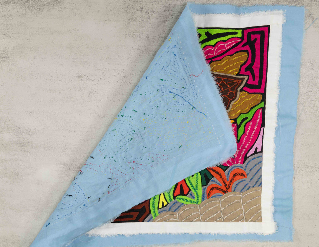 Underwater Turtle And Fish Mola