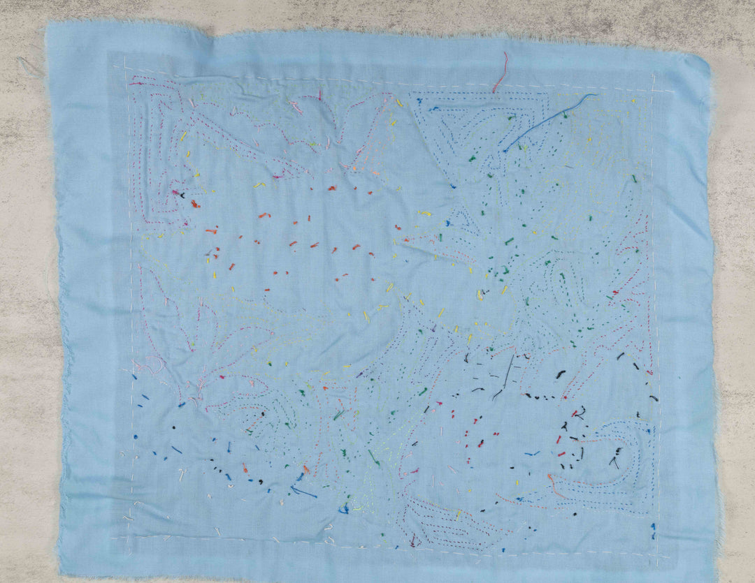 Underwater Turtle And Fish Mola