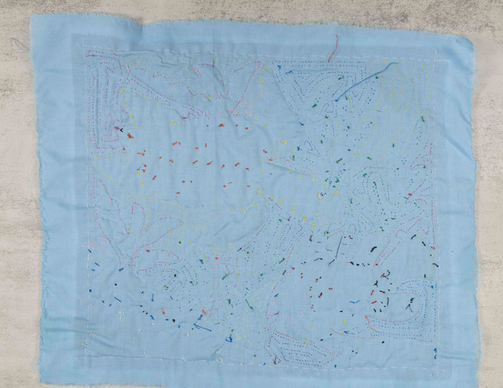 Underwater Turtle And Fish Mola