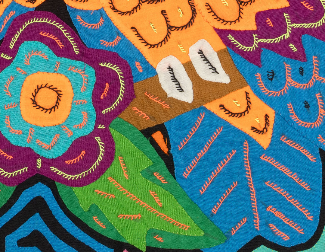 Two Gold And Blue Toucan Parrot Bird Mola