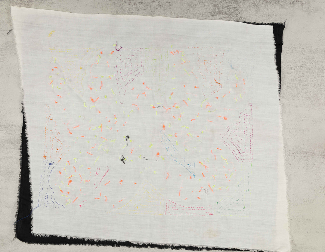 Two Blue Hummingbird Bird Mola