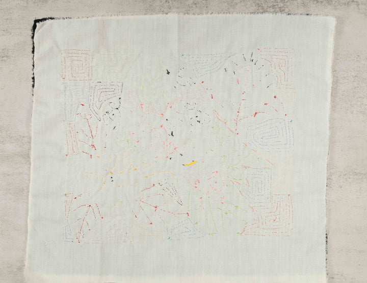 Red And Blue Macaw Parrot Bird Mola