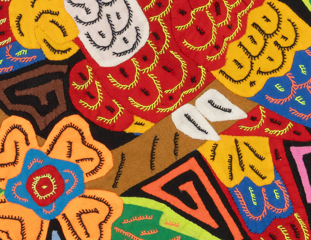 Two Red And Blue Macaw Parrot Bird Mola