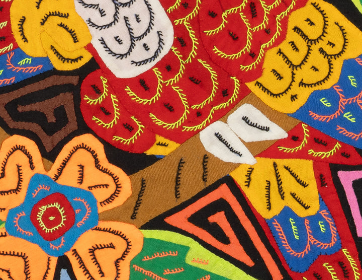 Two Red And Blue Macaw Parrot Bird Mola