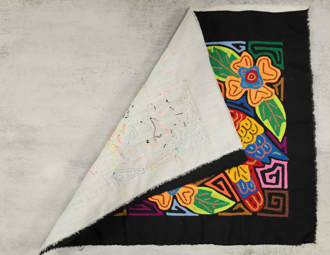 Two Red And Blue Macaw Parrot Bird Mola