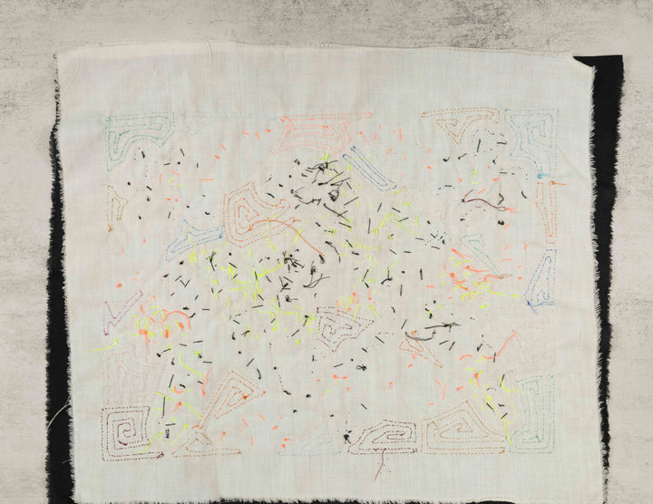 Two Red And Blue Macaw Parrot Bird Mola