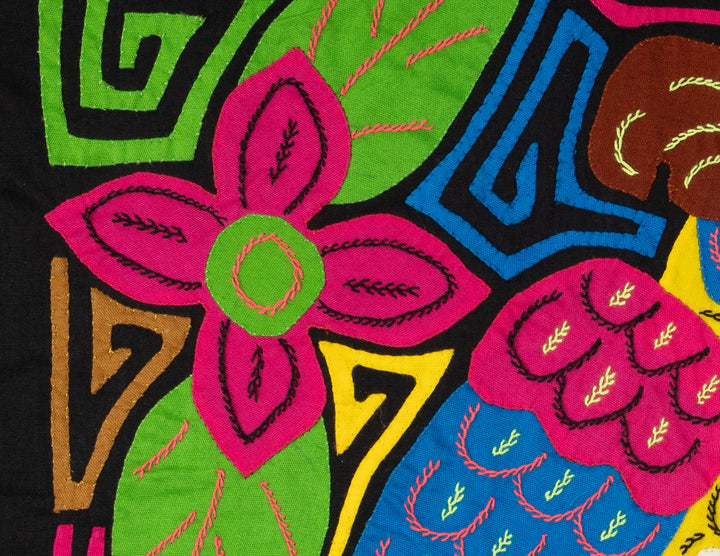 Blue And Yellow Parrot Bird Mola