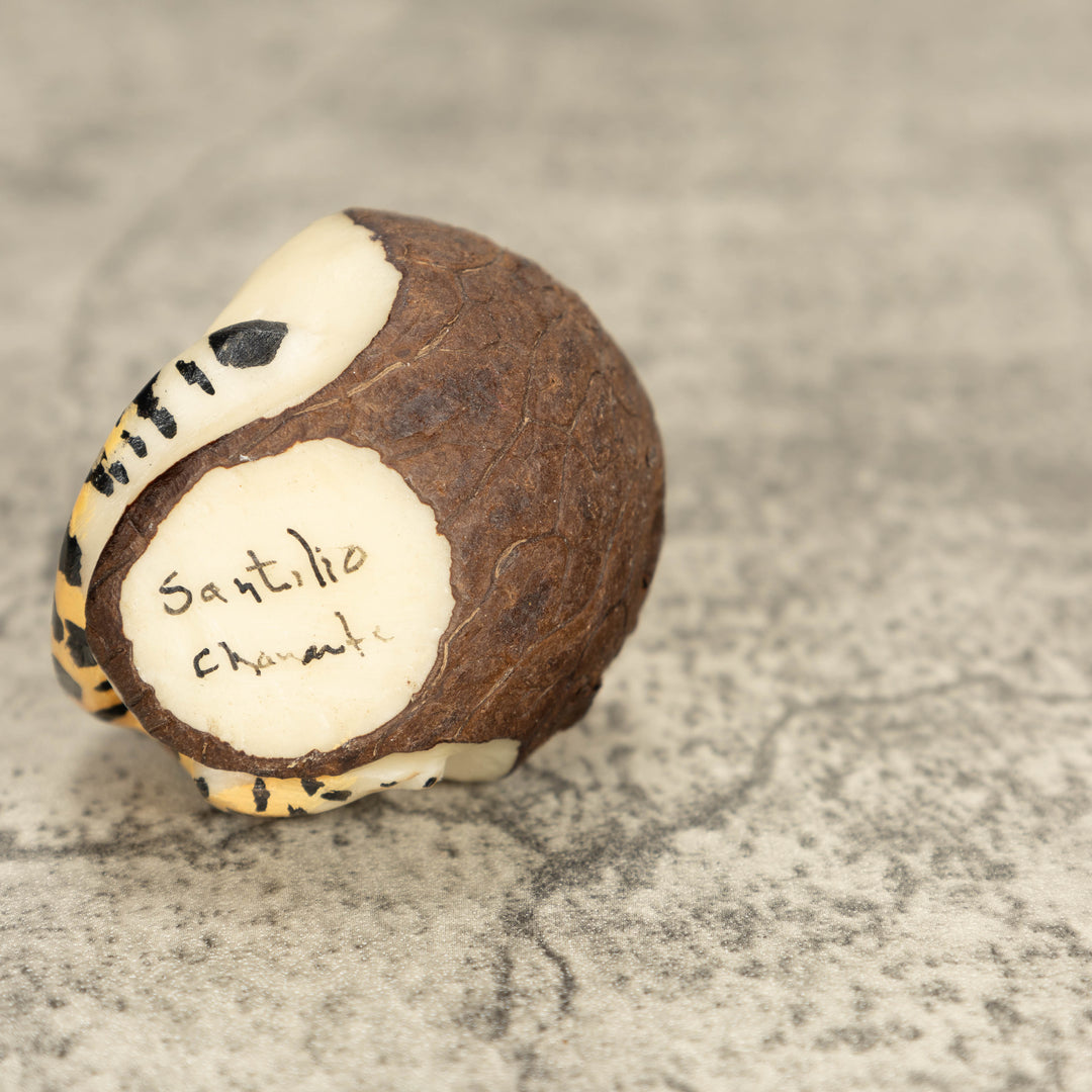 Jaguar Tagua Nut Carving