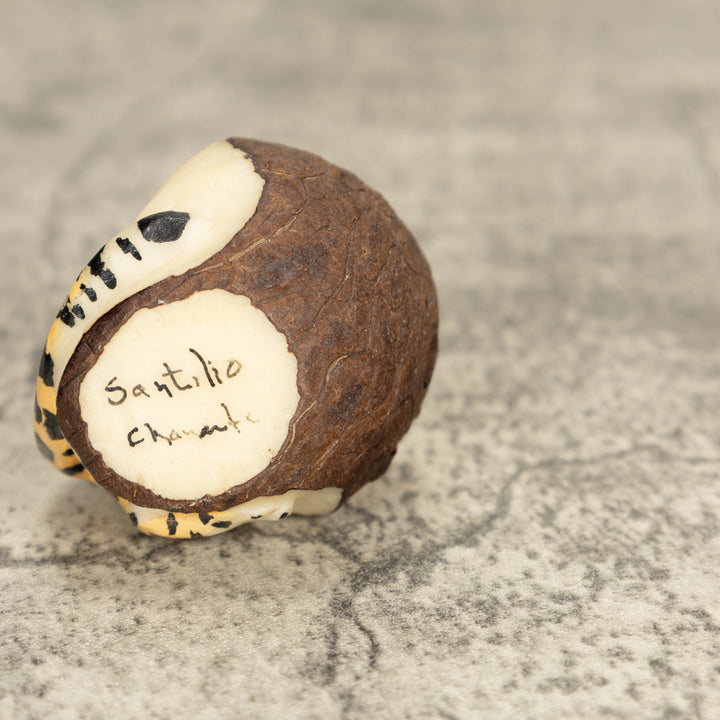Jaguar Tagua Nut Carving