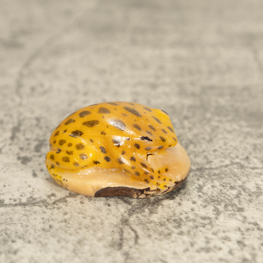 Vintage Toad Frog Tagua Nut Carving