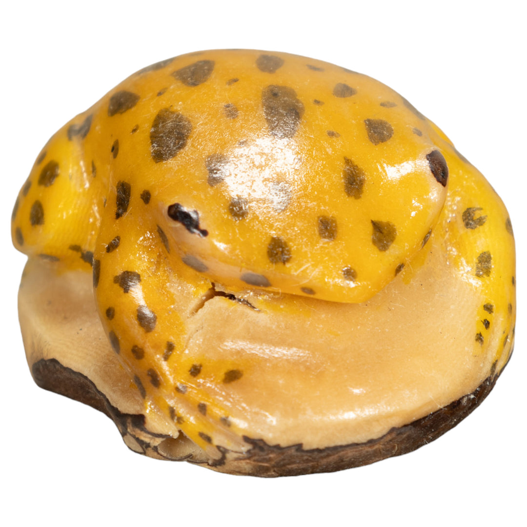 Vintage Toad Frog Tagua Nut Carving